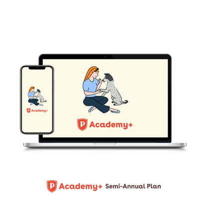 Pupford Academy+ Semi-Annual Plan