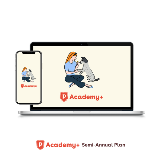 Pupford Academy+ Semi-Annual Plan