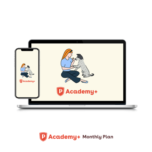 Pupford Academy+ Monthly