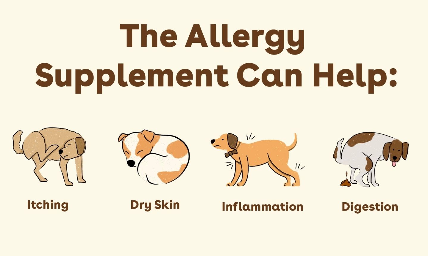 Allergy Relief Supplement for Dogs Image