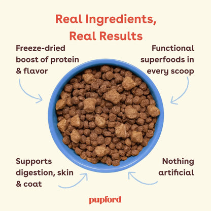 Ocean Fish Kibble + Freeze-Dried Good Dog Food