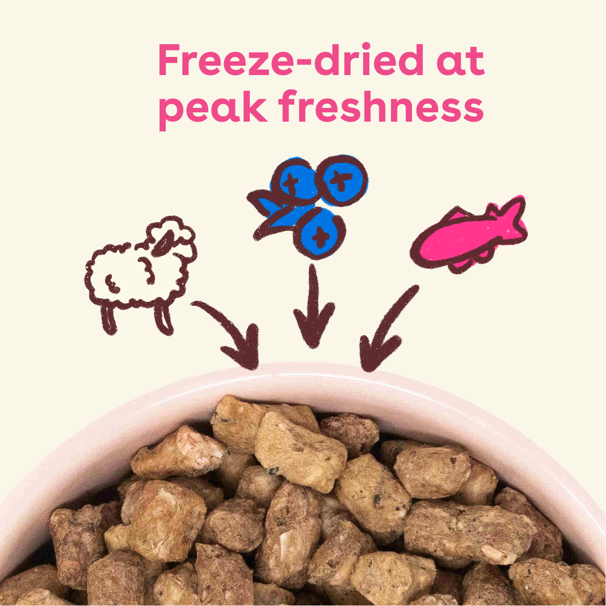 Good Dog Food - product image 3