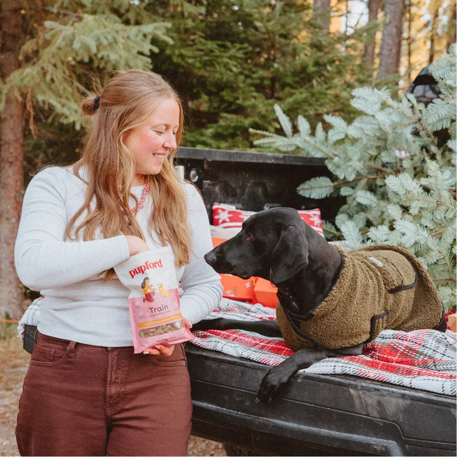 Pupford Holiday Pack