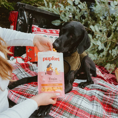 Pupford Holiday Pack - Descripción