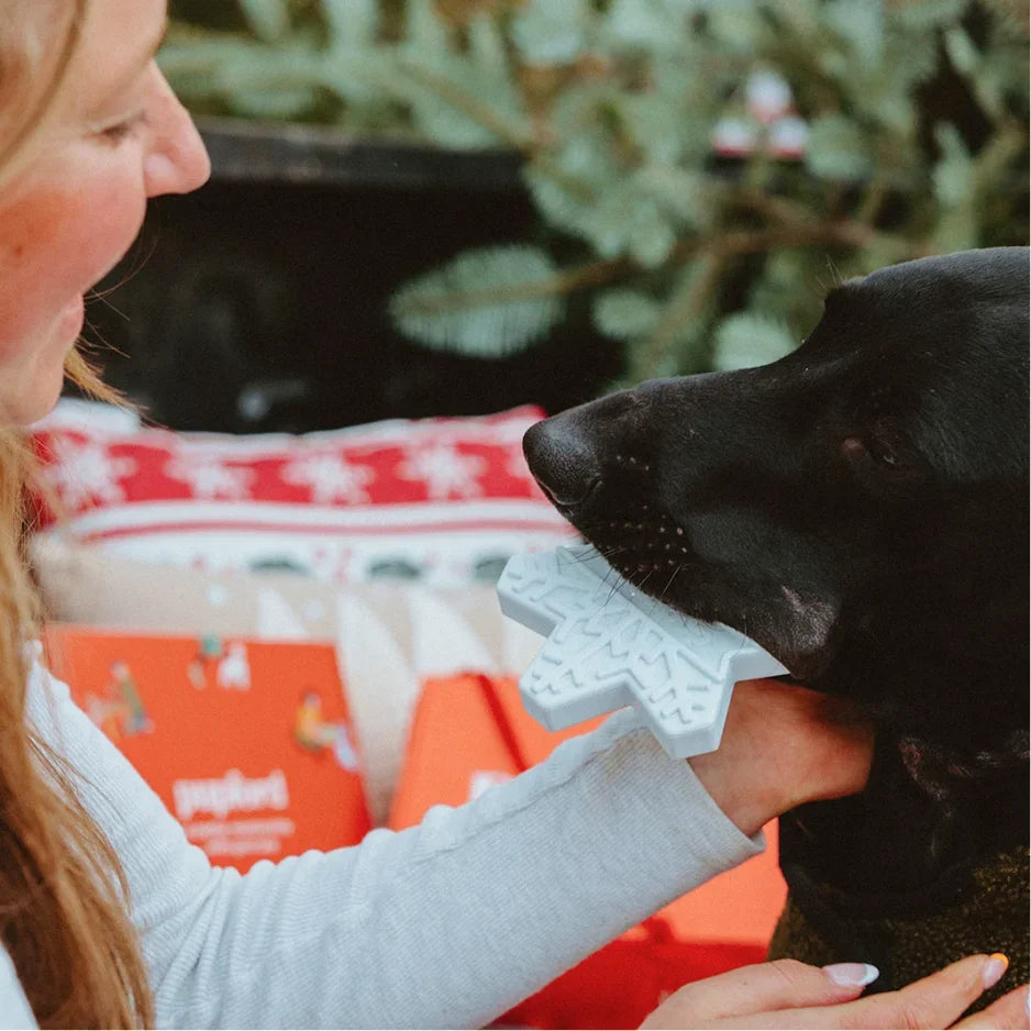 Pupford Holiday Pack