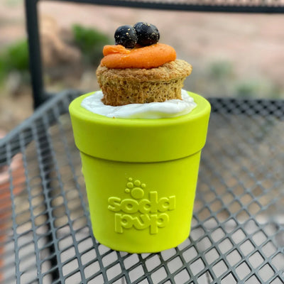 Flower Pot - Enrichment Slow Feeder (Orange) - Descripción
