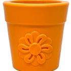 Flower Pot