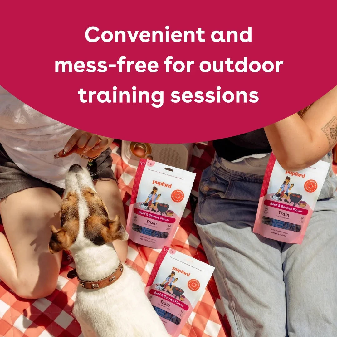 Soft & Chewy Summer BBQ Training Treat Bundle