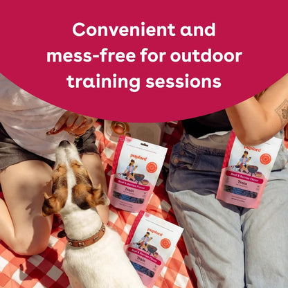 Soft & Chewy Summer BBQ Training Treat Bundle - gallery thumbnail 3