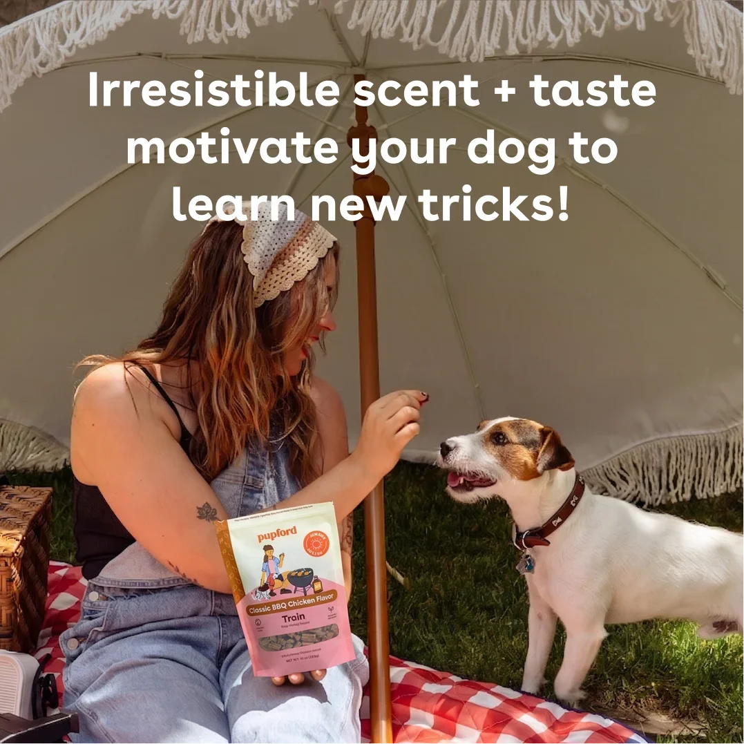 Soft & Chewy BBQ Training Treats
