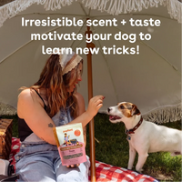Soft & Chewy BBQ Training Treats