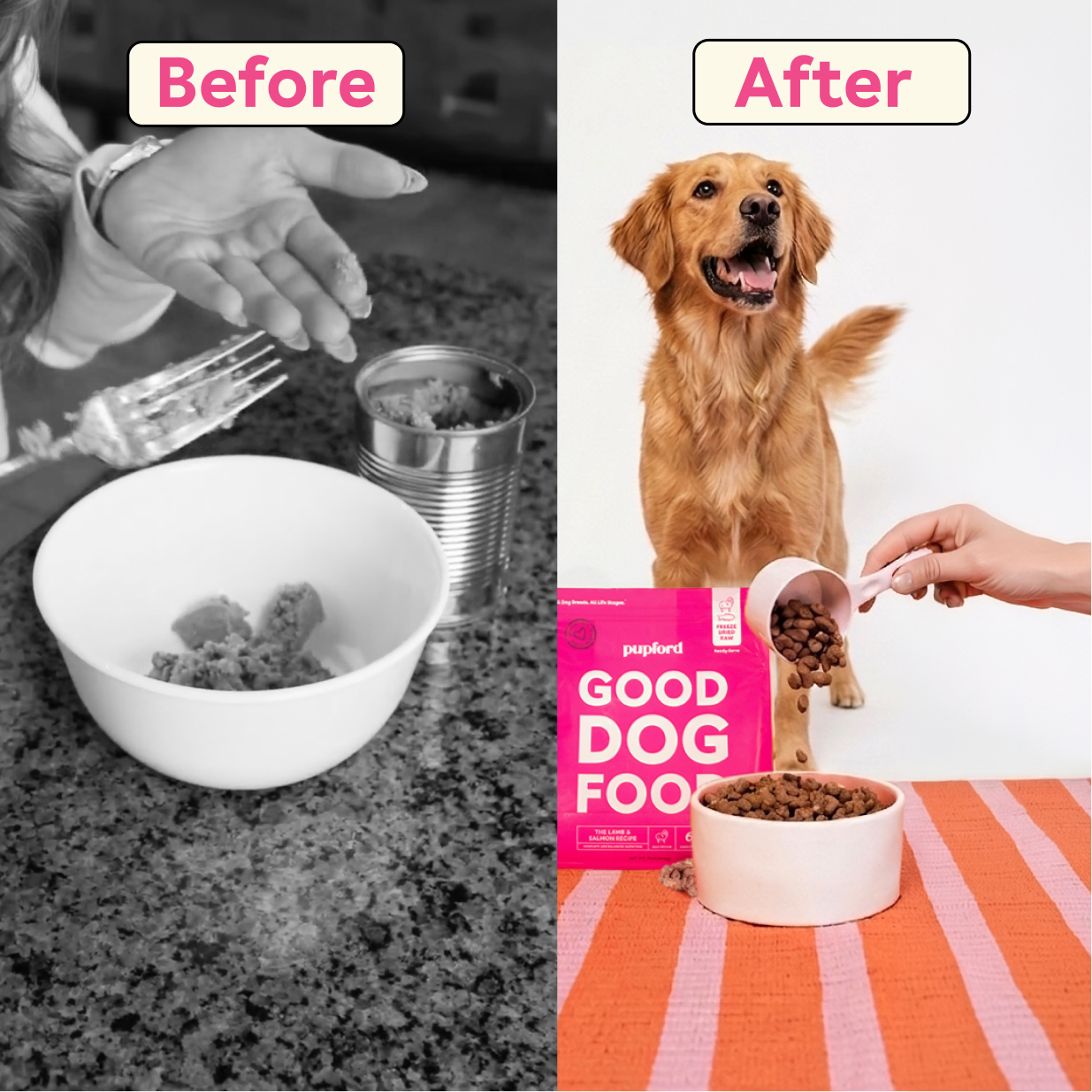 Good Dog Food - product image 5