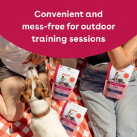 Soft & Chewy Beef & Berries Training Treats