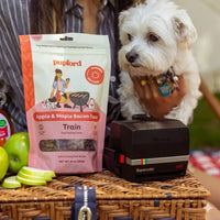 Soft & Chewy Apple & Maple Bacon Training Treats