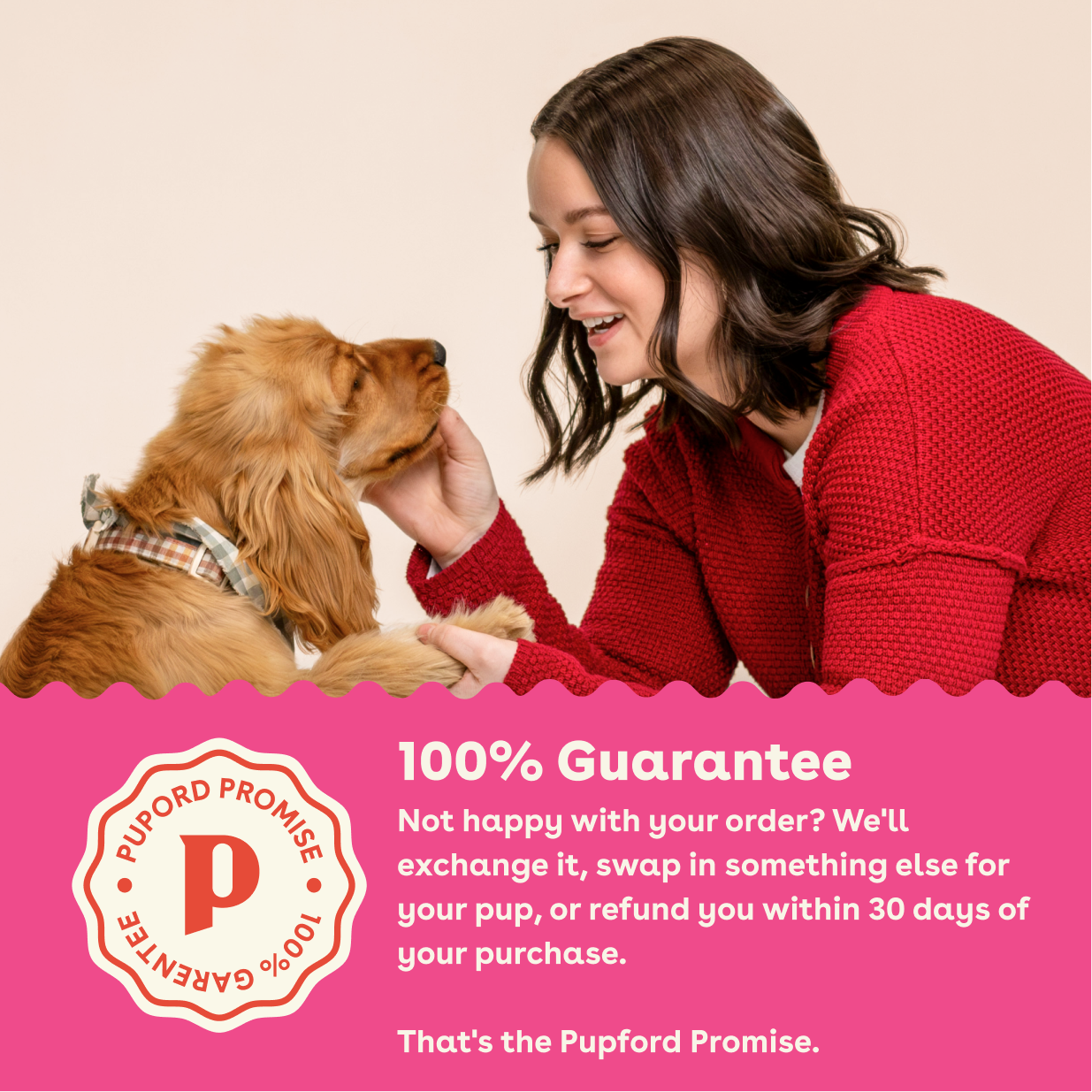 Good Dog Food - product image 8