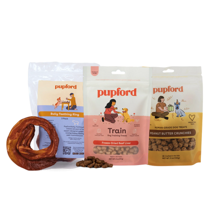 Holiday Pup Parent Starter Pack - product image 1