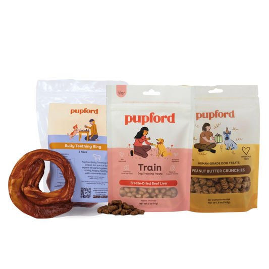 Holiday Pup Parent Starter Pack - product image 1