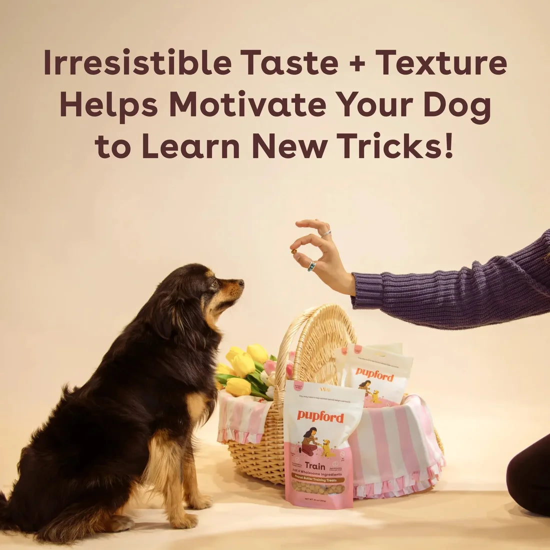 Peanut Butter Training Treats - product image 4