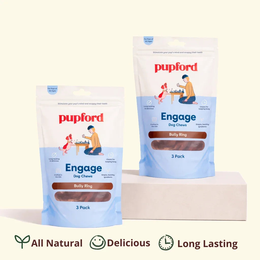 Bully Stick Dog Chew for Puppies & Adults | Long-Lasting 6