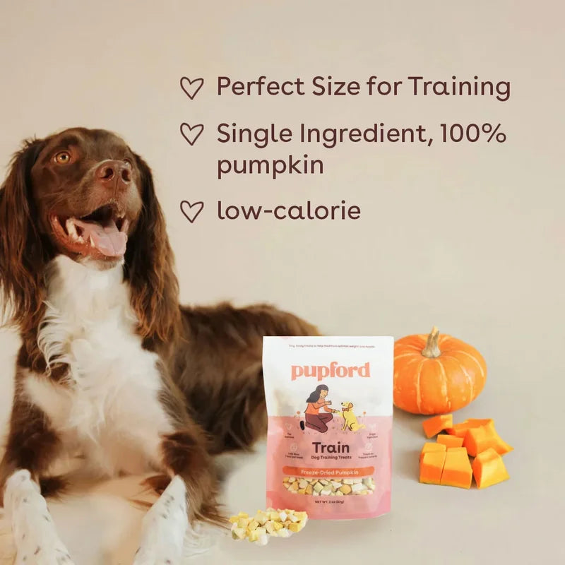 Freeze Dried Pumpkin Training Treats