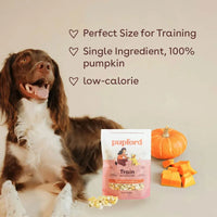 Freeze Dried Pumpkin Training Treats - product image 4