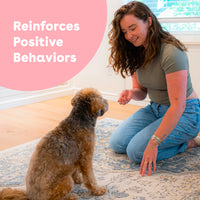 Freeze Dried Blueberry Training Treats