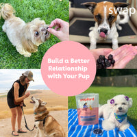 Freeze Dried Blueberry Training Treats