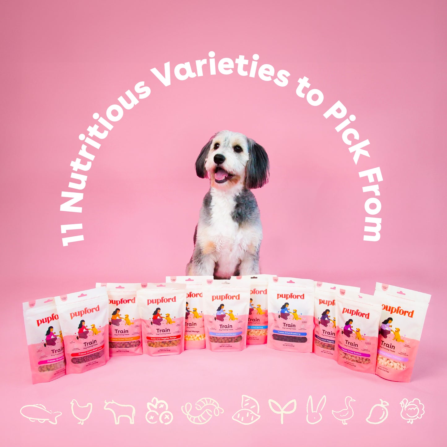 Freeze Dried Blueberry Training Treats