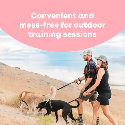 Freeze Dried Mango Training Treats
