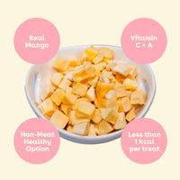 Freeze Dried Mango Training Treats