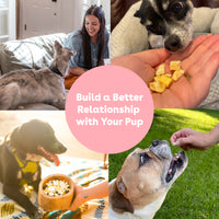 Freeze Dried Mango Training Treats