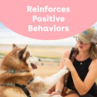 Freeze Dried Rabbit Training Treats