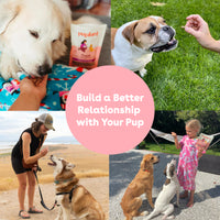 Freeze Dried Rabbit Training Treats