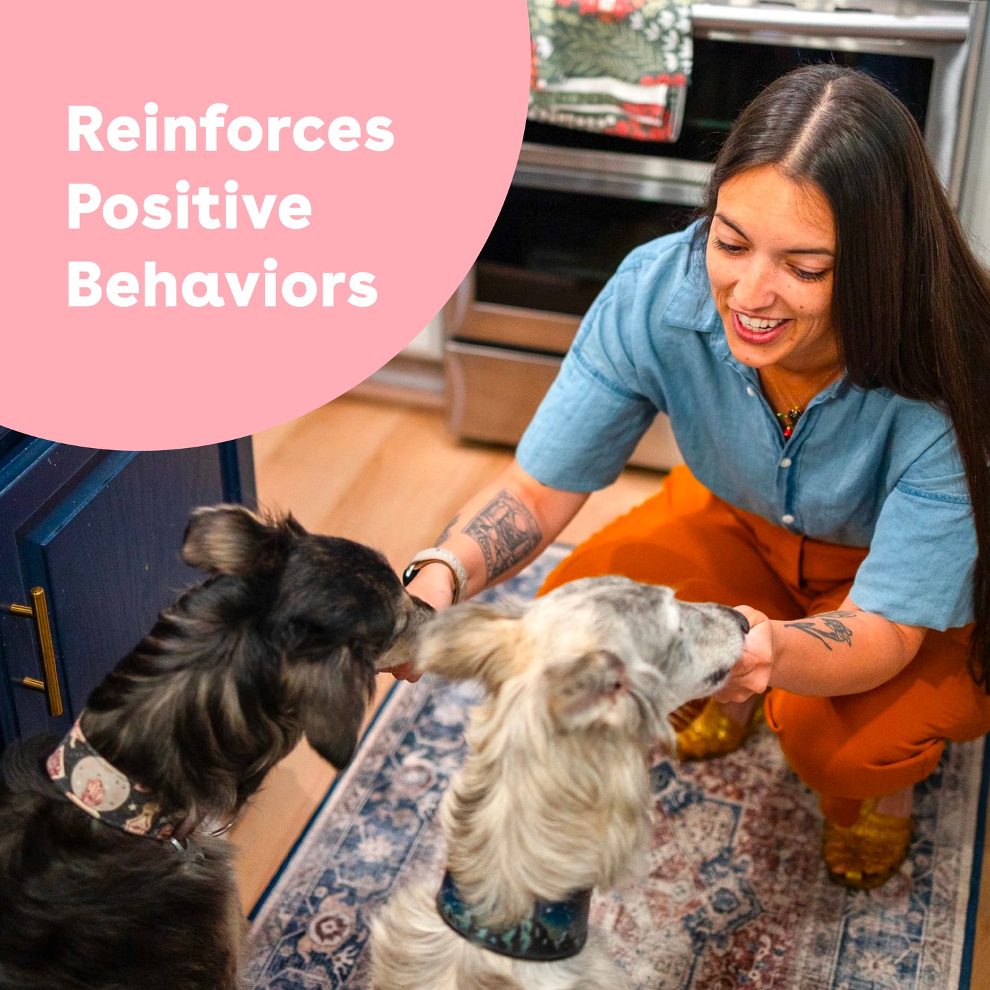 Freeze Dried Shrimp Training Treats