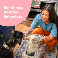 Freeze Dried Shrimp Training Treats - product image 3