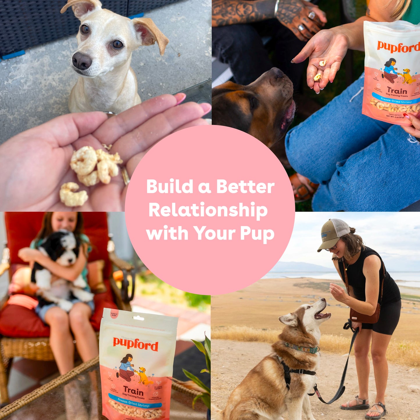 Freeze Dried Shrimp Training Treats