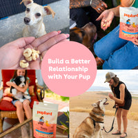 Freeze Dried Shrimp Training Treats - product image 7