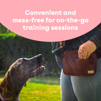 Freeze Dried Salmon Training Treats