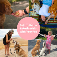 Freeze Dried Salmon Training Treats