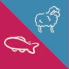 Salmon & Lamb Recipe