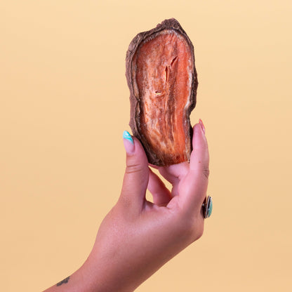 Sweet Potato Jerky for Dogs in Hand | Pupford