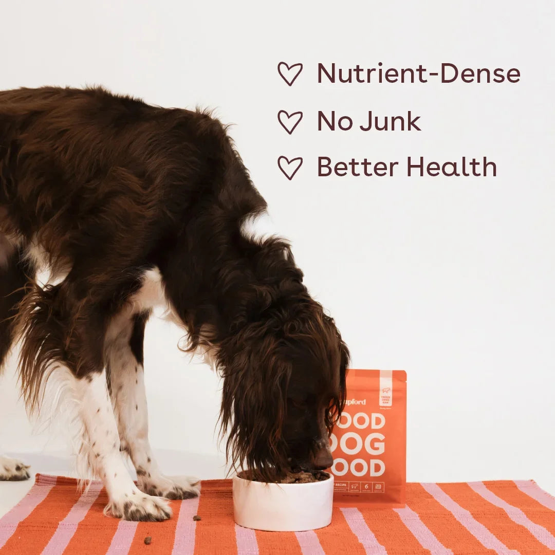 Freeze-Dried Raw Good Dog Food - Beef Recipe