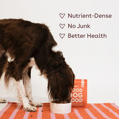 Freeze-Dried Raw Good Dog Food - Beef Recipe