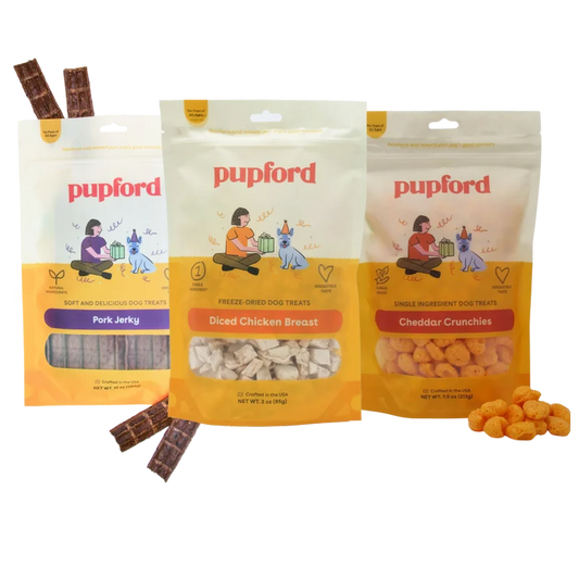 Everyday Dog Treat Starter Pack