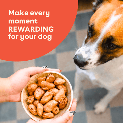 a dog about to eat chicken hearts with text that says make every moment rewarding for your dog | Pupford
