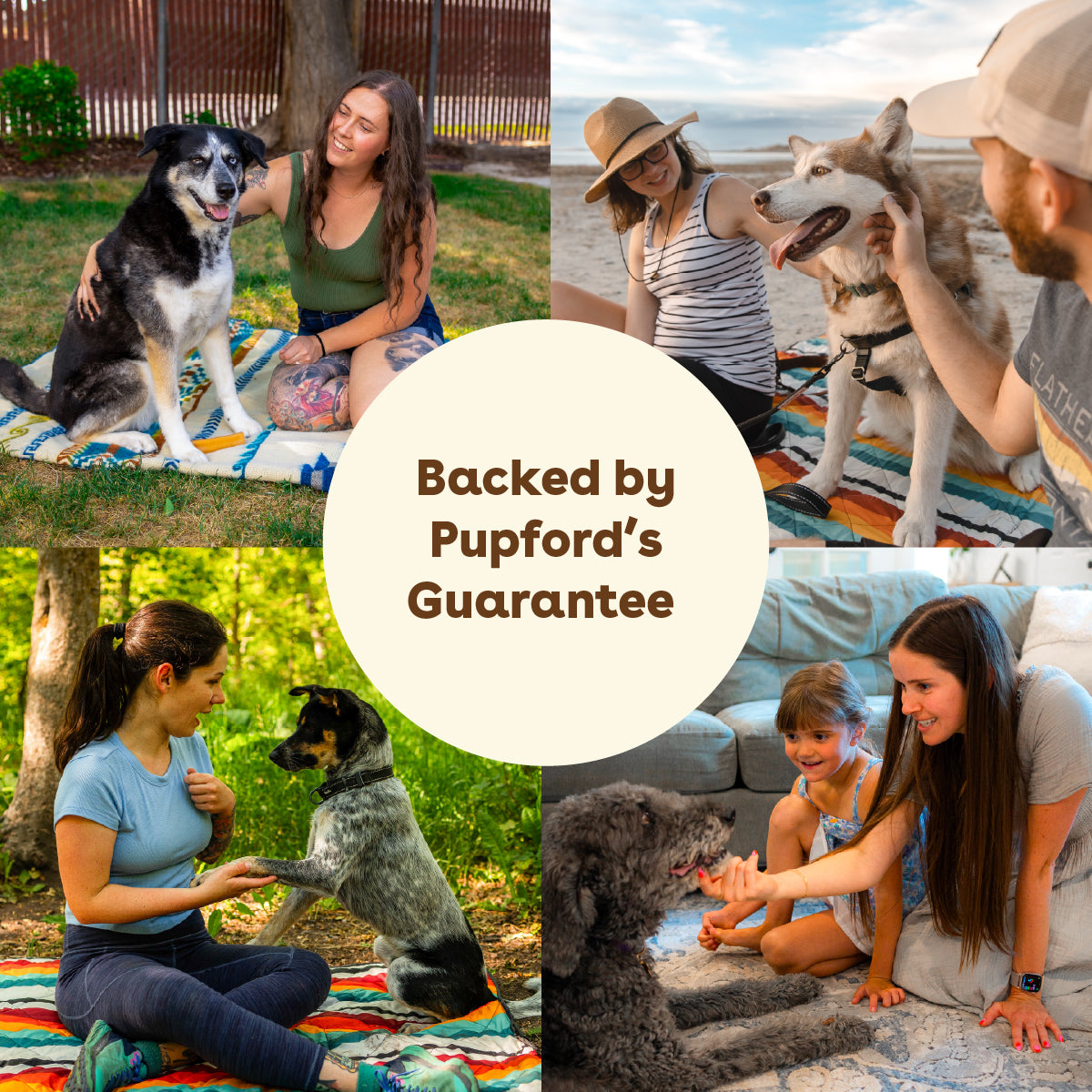 a dog allergy supplement backed by pupford's guarantee | Pupford