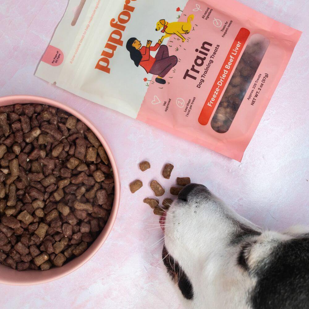 a dog eating beef liver treats off a table next to a bowl of training treats | Pupford