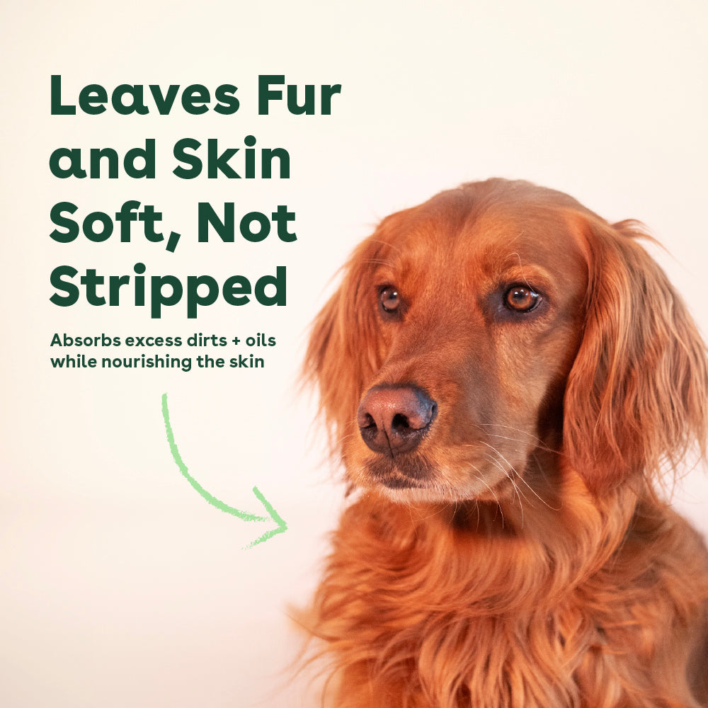 a golden colored dog with text that says leaves fur and skin soft, not stripped and absorbs excess dirts and oils while nourishing the skin | Pupford