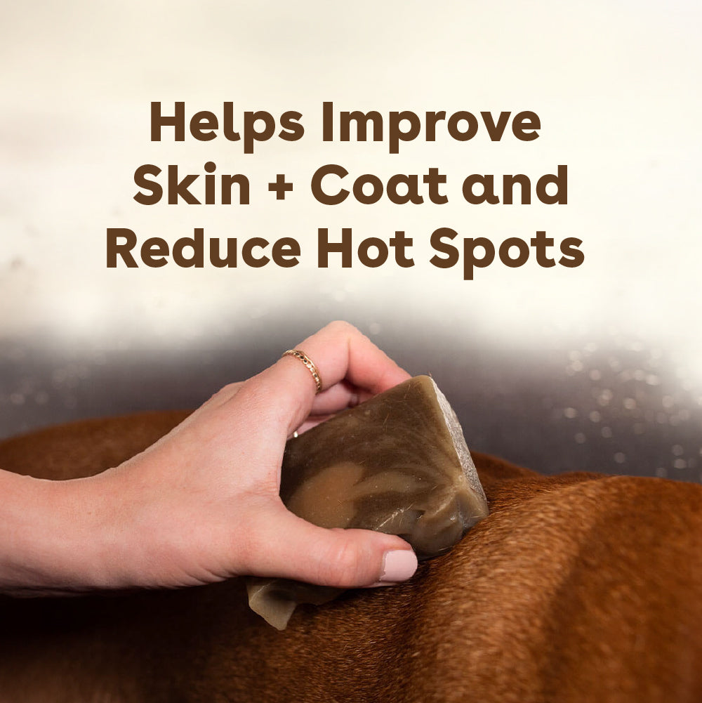 a shampoo bar to help reduce hot spots and improve skin and coat being applied to a brown dog | Pupford