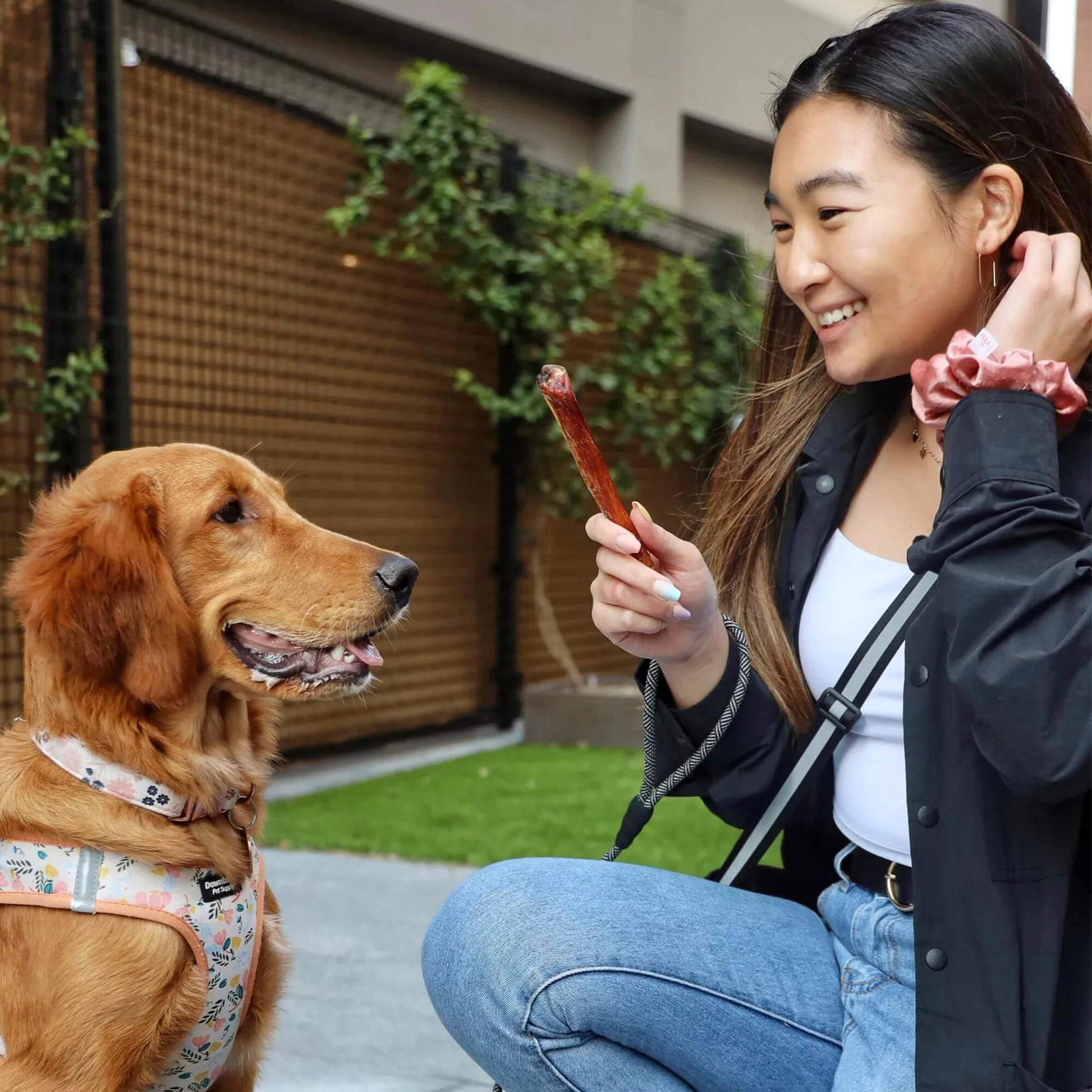 a woman about to give a bully stick chew to her dog | Pupford